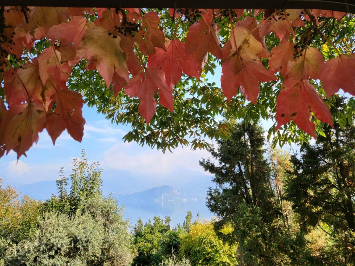 Bella Vista Lago Maggiore Ghiffa Eksteriør bilde